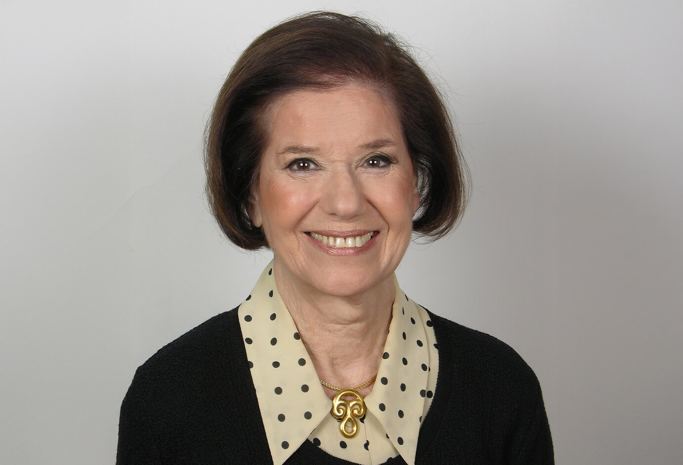 HP&P Dr. Helen G. Papaconstantinou & Partners Law Firm-hplawfirm-history-07